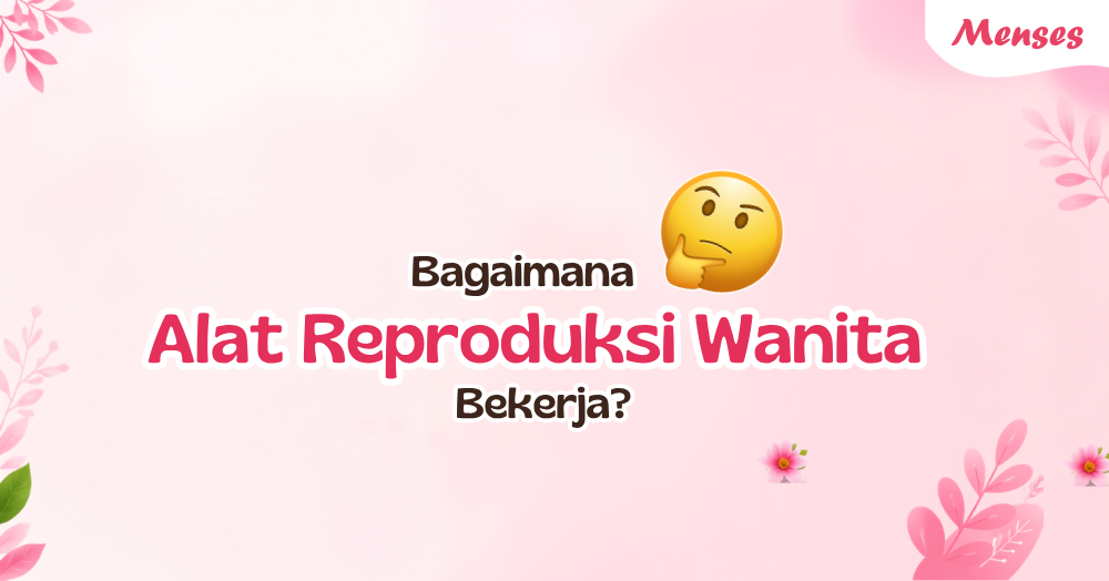 Alat Reproduksi Wanita, Kenali Organ dan Fungsinya
