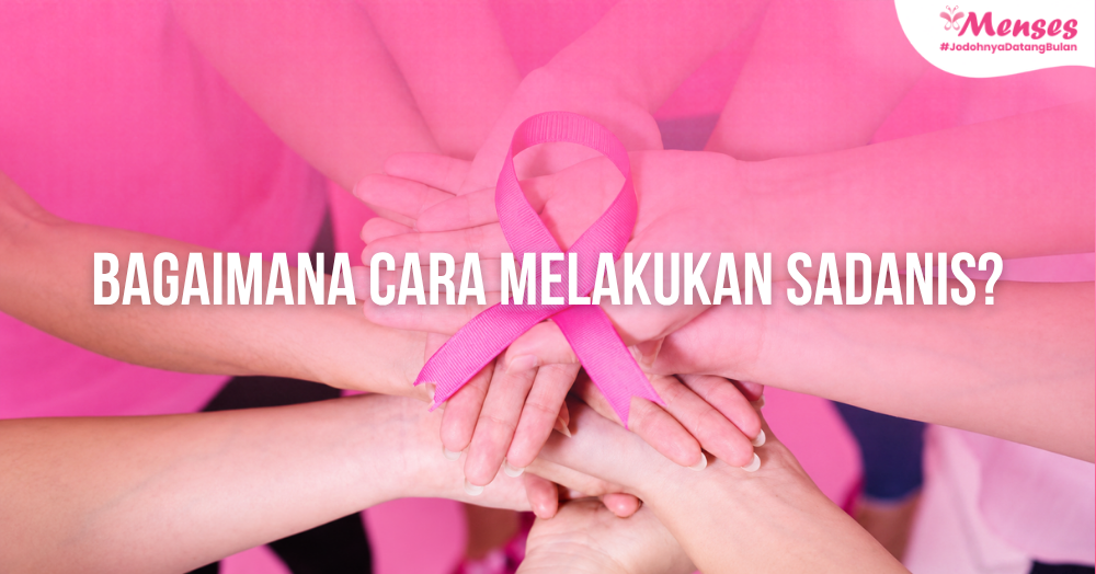 Bagaimana Cara Melakukan SADANIS?