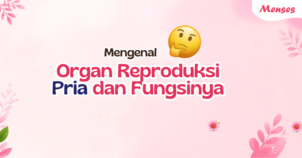 7 Fakta Penting Organ Reproduksi Pria yang Wajib Dipahami agar Tetap Sehat