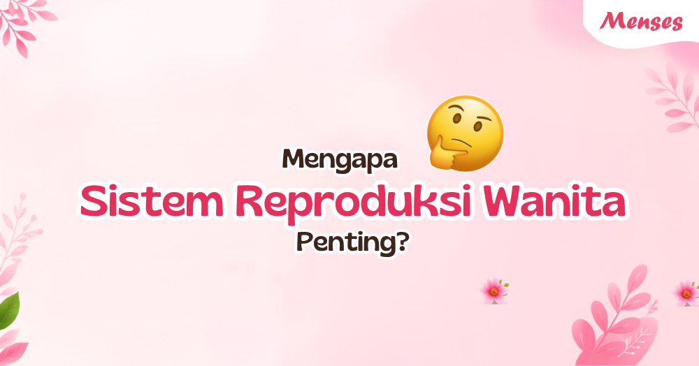 Sistem Reproduksi Wanita: Struktur & Fungsi