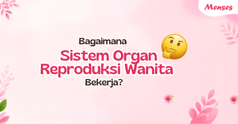 Organ Reproduksi Wanita: 9 Fakta Penting untuk Menjaga Kesehatan yang Lebih Baik