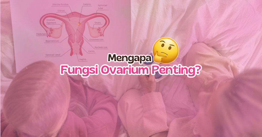 Cara Menjaga Fungsi Ovarium Seiring Bertambahnya Usia