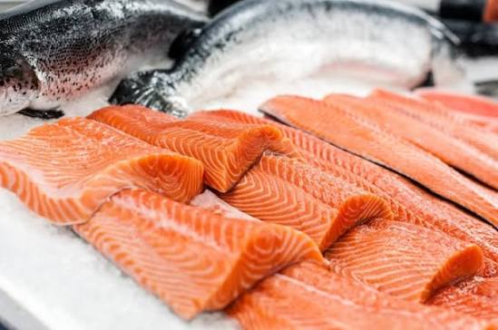 Salmon